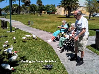 outing-Feeding-the-Ducks-Such-Fun-IMG_0188